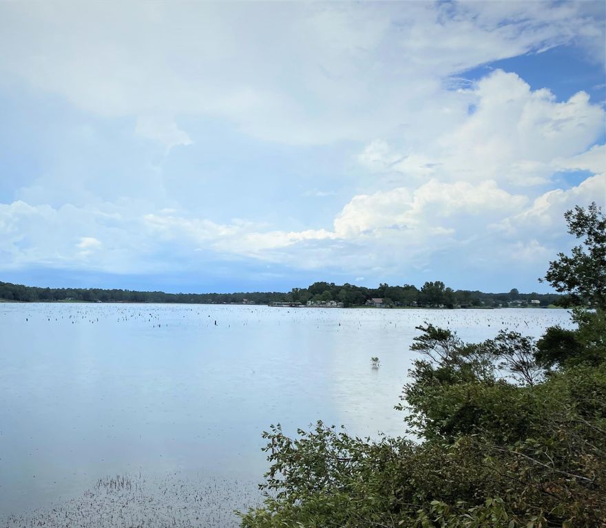 Wanting 'that view', then this is the lot you have been looking for and it is on a Kings Lake a 500 acres fishing lake with record size bass, catfish, crappie and bream...You need to come check this one out. It has a panoramic view of the lake with a dock included.  This half acre wooded lot has some beautiful trees on it. All dimensions subject to an up-to-date survey.
City water available (tap fee due). Perfect for that new Lakefront home or weekender.  Not a lot of 'thru-way' traffic because it just before the cul-de-sac.  It feels very private.