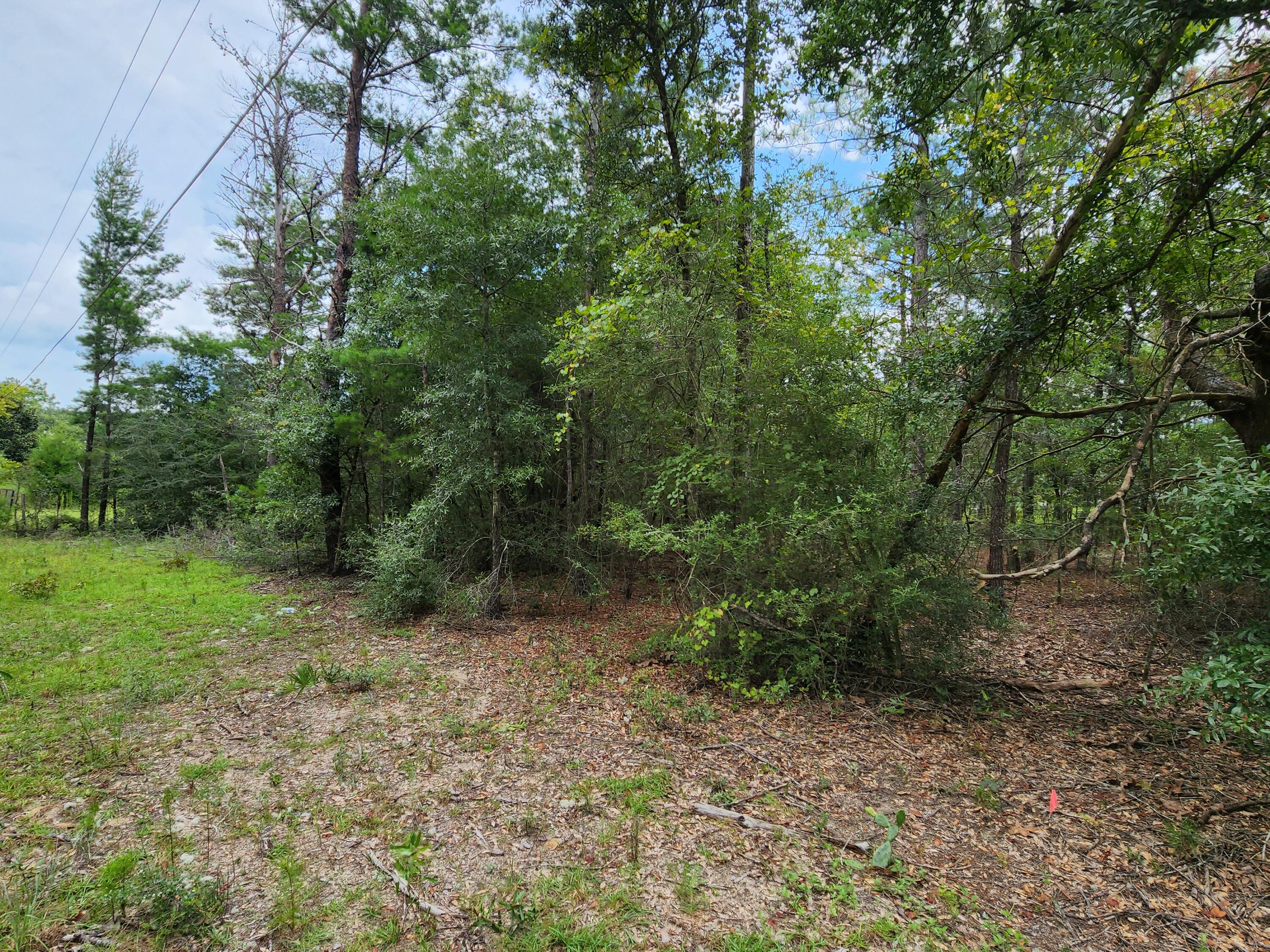 OAKWOOD HILLS UNIT 1 - Land