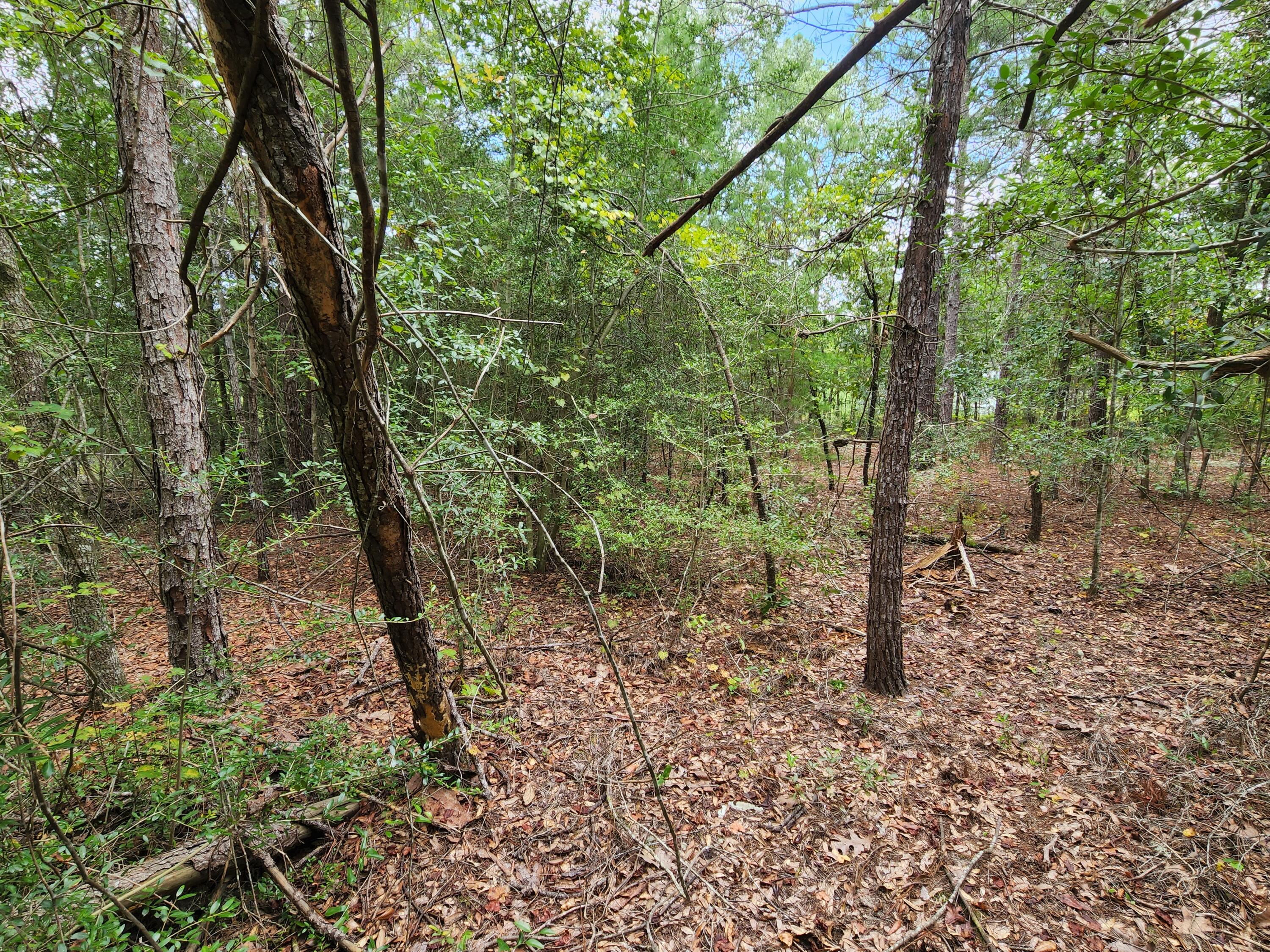 OAKWOOD HILLS UNIT 1 - Land