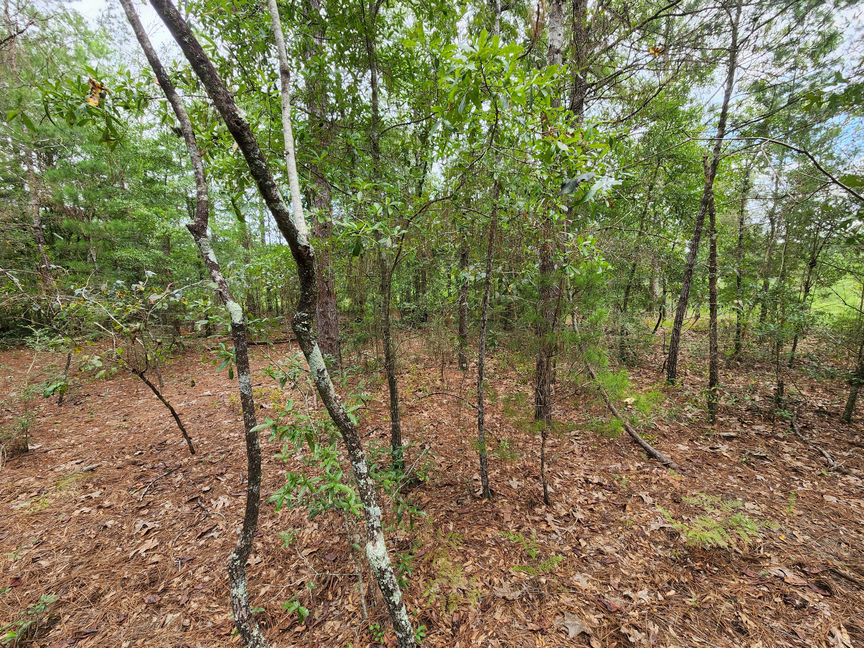 OAKWOOD HILLS UNIT 1 - Land