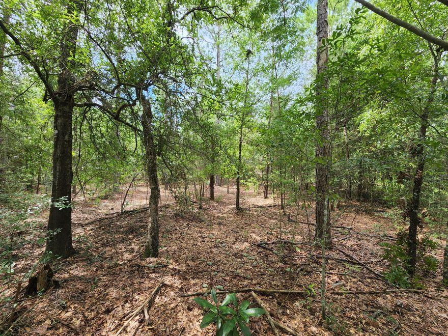 If you are in the market for land on a short road with a few neighboring parcels this lot is a must see. Even though this lot is located in a rural setting it is an easy commute to the interstate, Defuniak Springs, Crestview, and our beautiful beaches located along the Emerald Coast. So grab the family and your house plans and get ready to call this lot home.