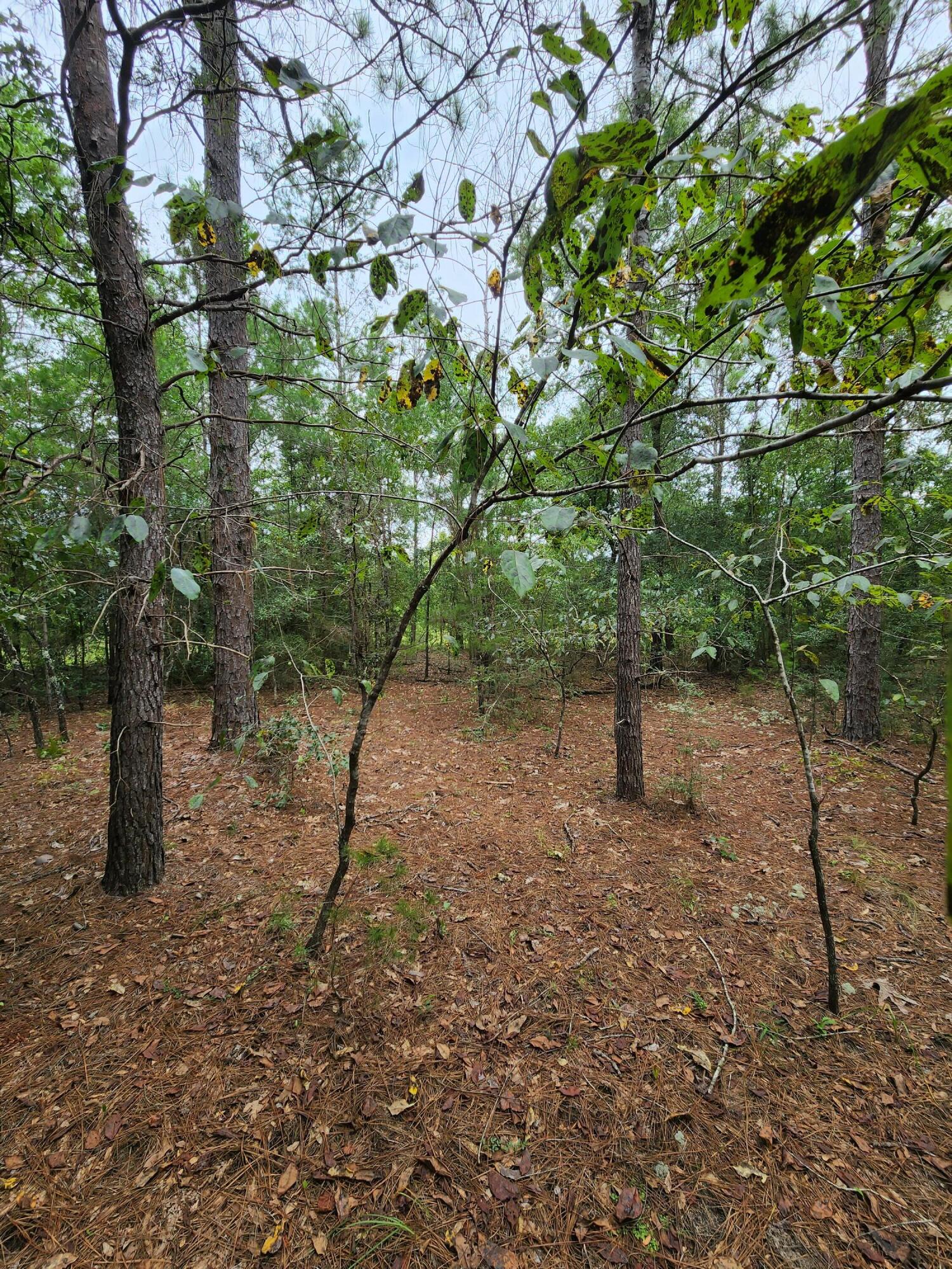 OAKWOOD HILLS UNIT 1 - Land