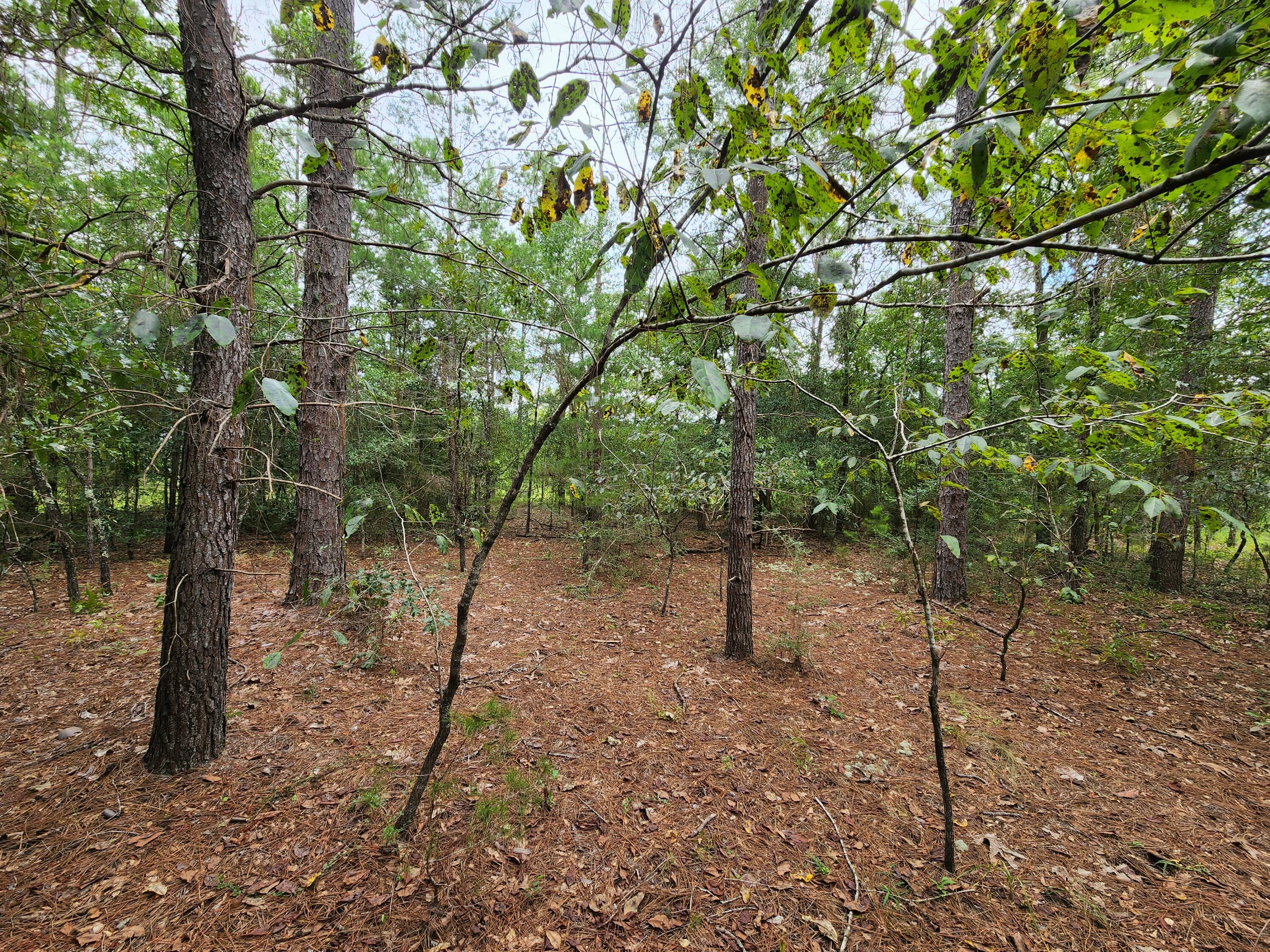 OAKWOOD HILLS UNIT 1 - Land