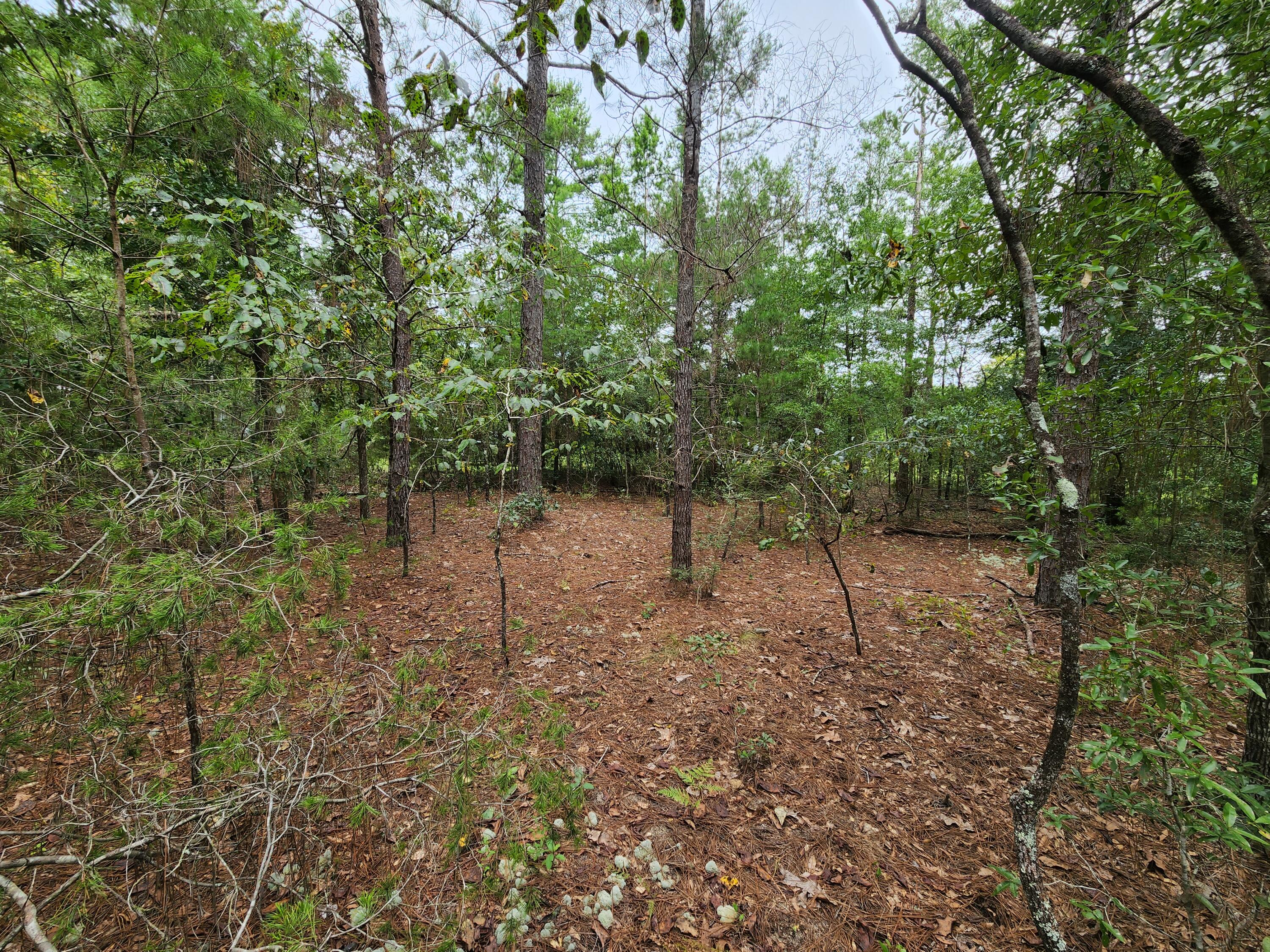 OAKWOOD HILLS UNIT 1 - Land