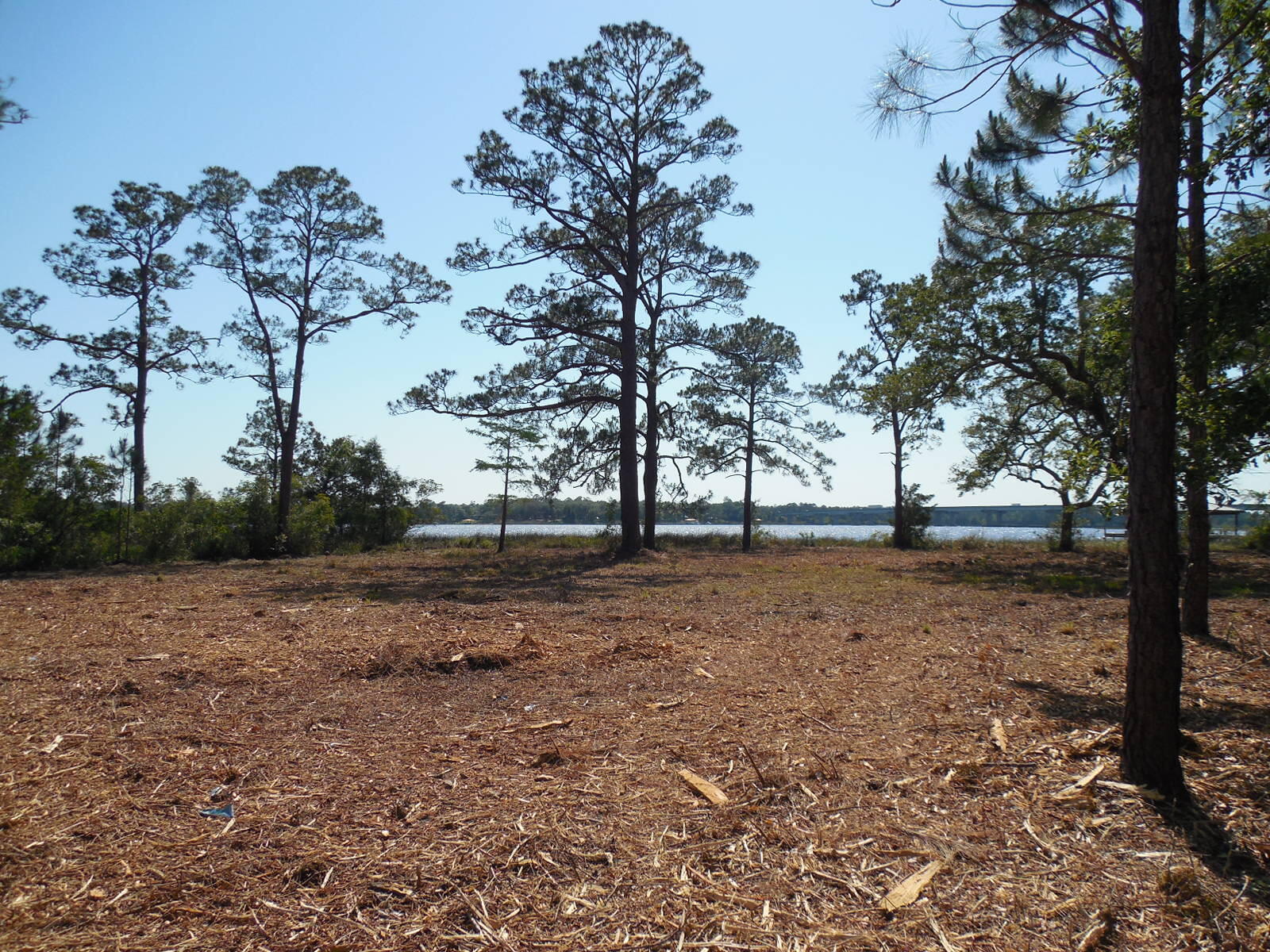 Petersen Point - Land