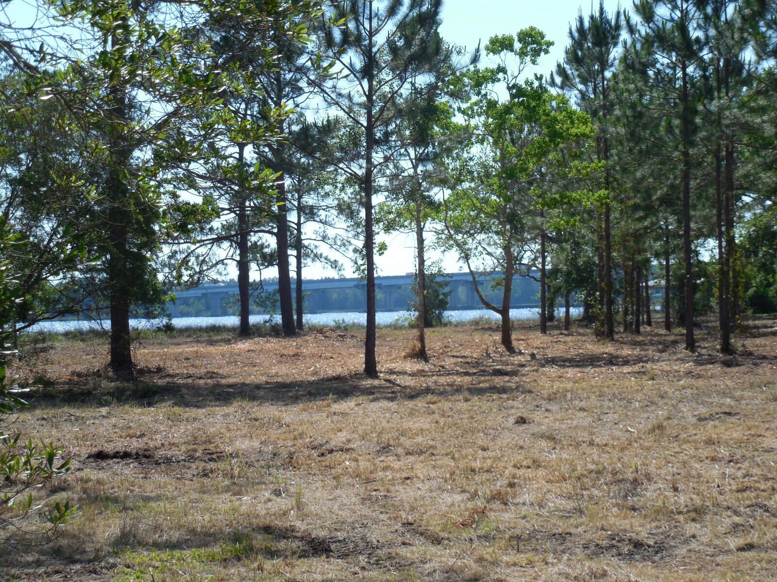Petersen Point - Land