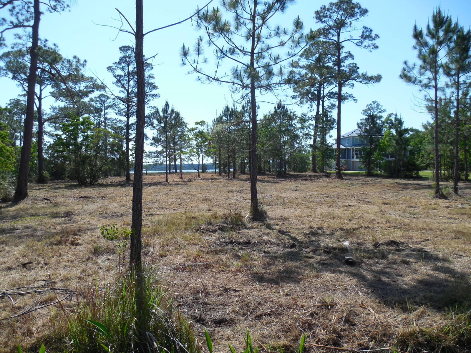 Petersen Point - Land