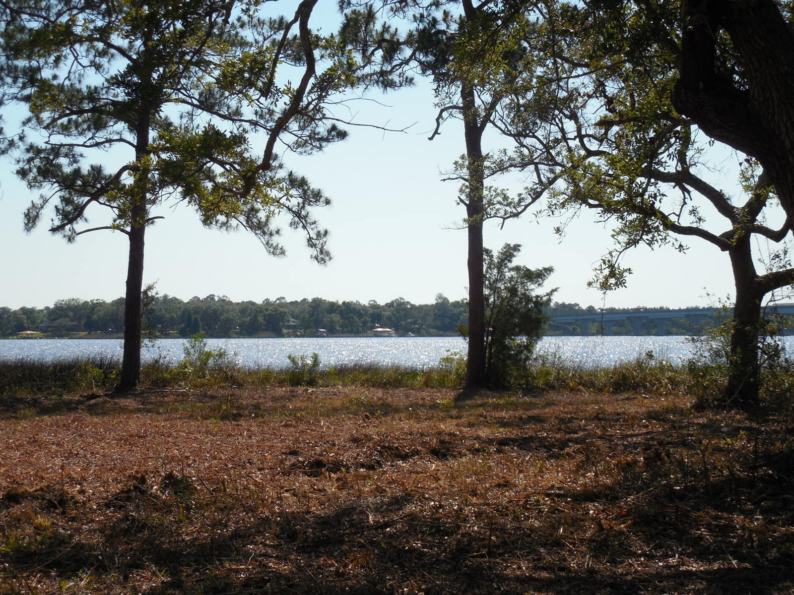 Rare opportunity to purchase over an acre of waterfront property south of I10!  Enjoy the laid back country setting with a very quick and easy commute into the city of Pensacola.  110 feet of water frontage right on Blackwater Bay, bring your boat and enjoy some of the best fishing around!  Need more land?  Parcel 5 is also for sale.  MLS# 898124
