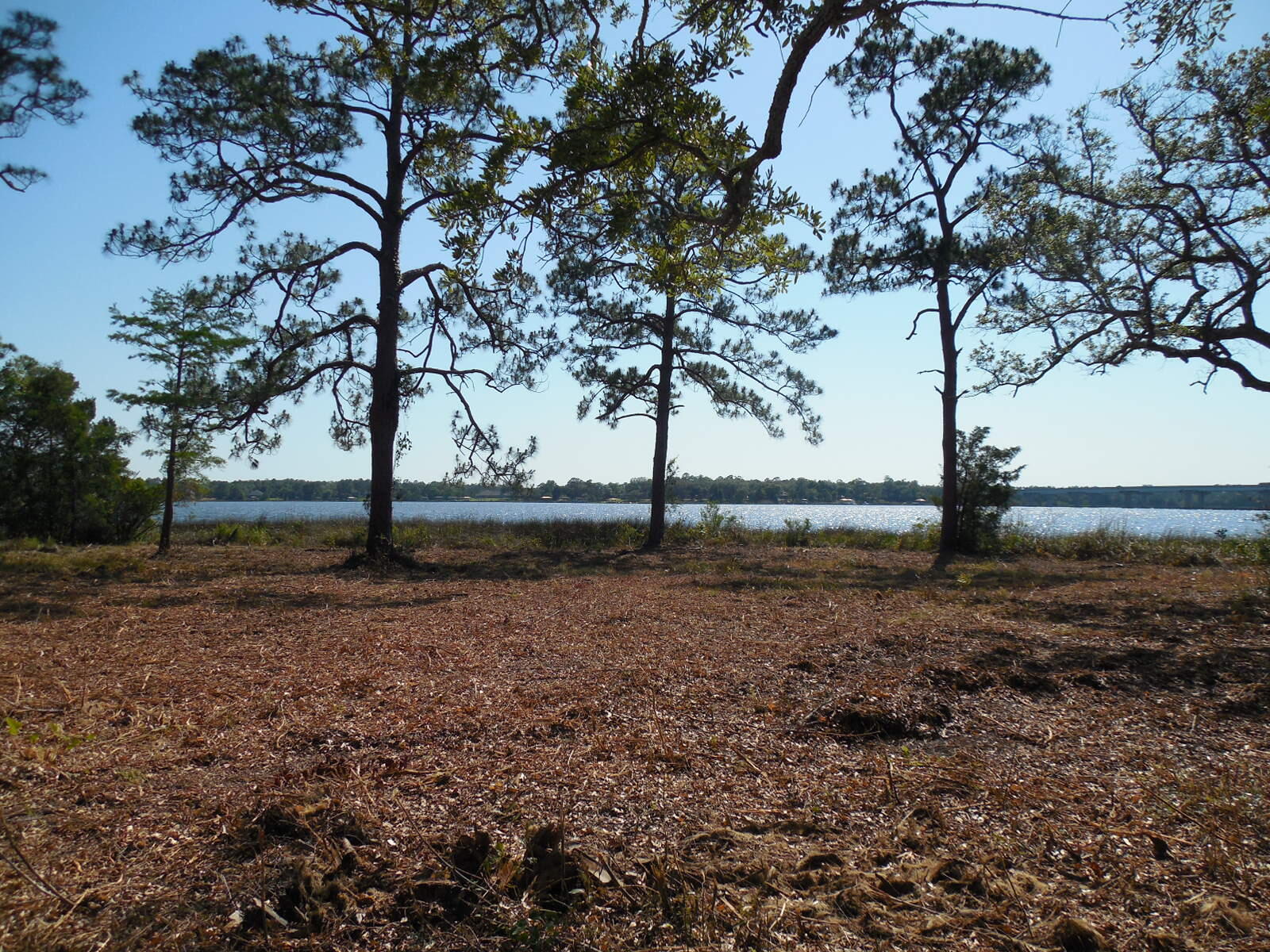 Petersen Point - Land