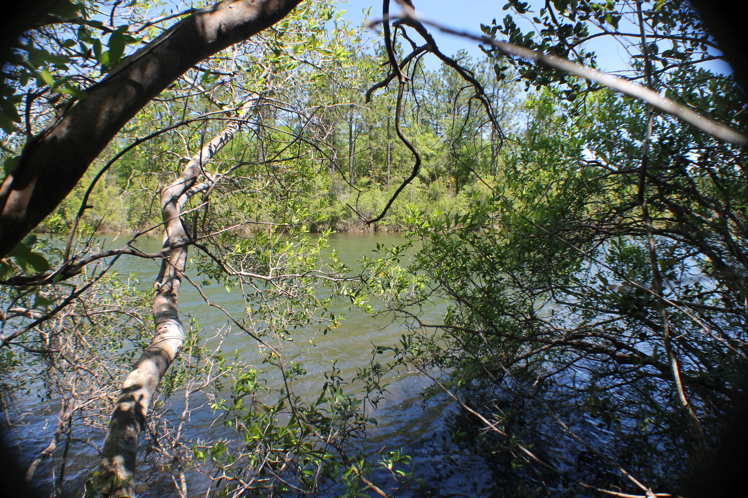 Waterfront homesite!!! Deer Pond. Bring your house plans!! 3 acre pond front ground to build you dream house!!