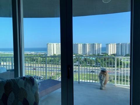 THE PALMS OF DESTIN - Residential