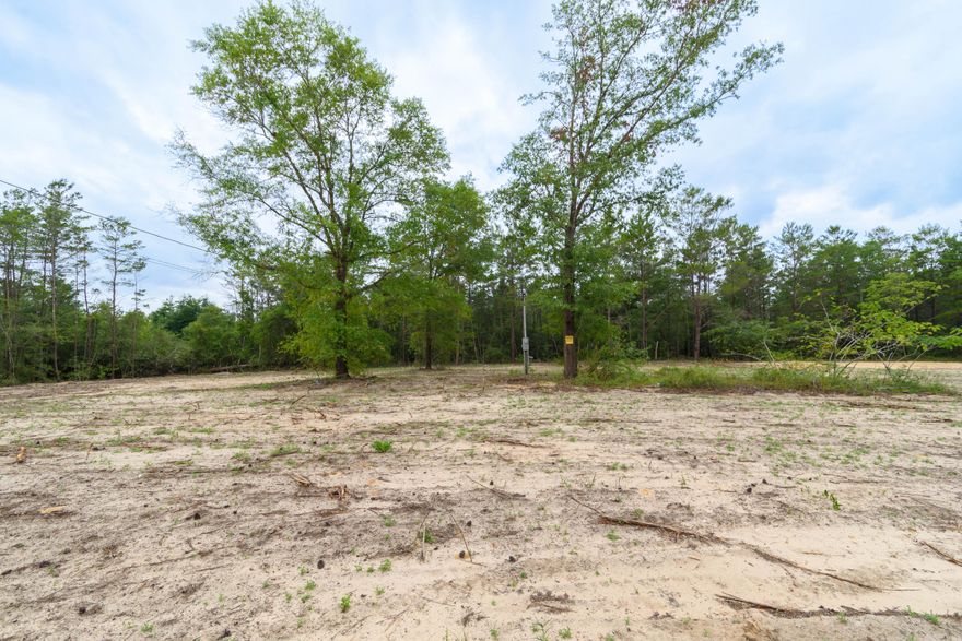4 Beautiful lots that have been cleared. There used to be a mobile home so there is a well, septic, and power. Buyer to verify all pertinent information.