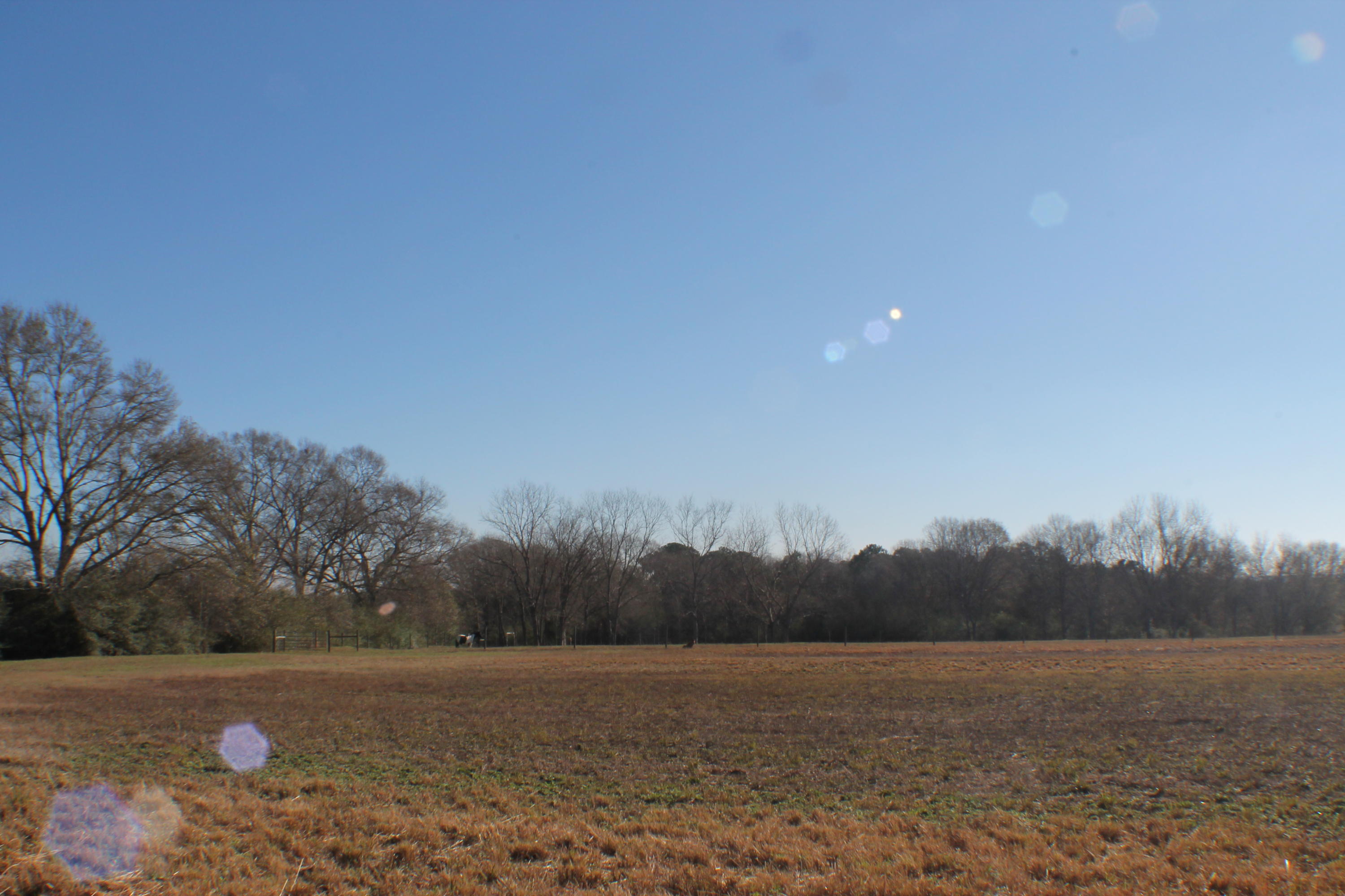 METES & BOUNDS - Farm