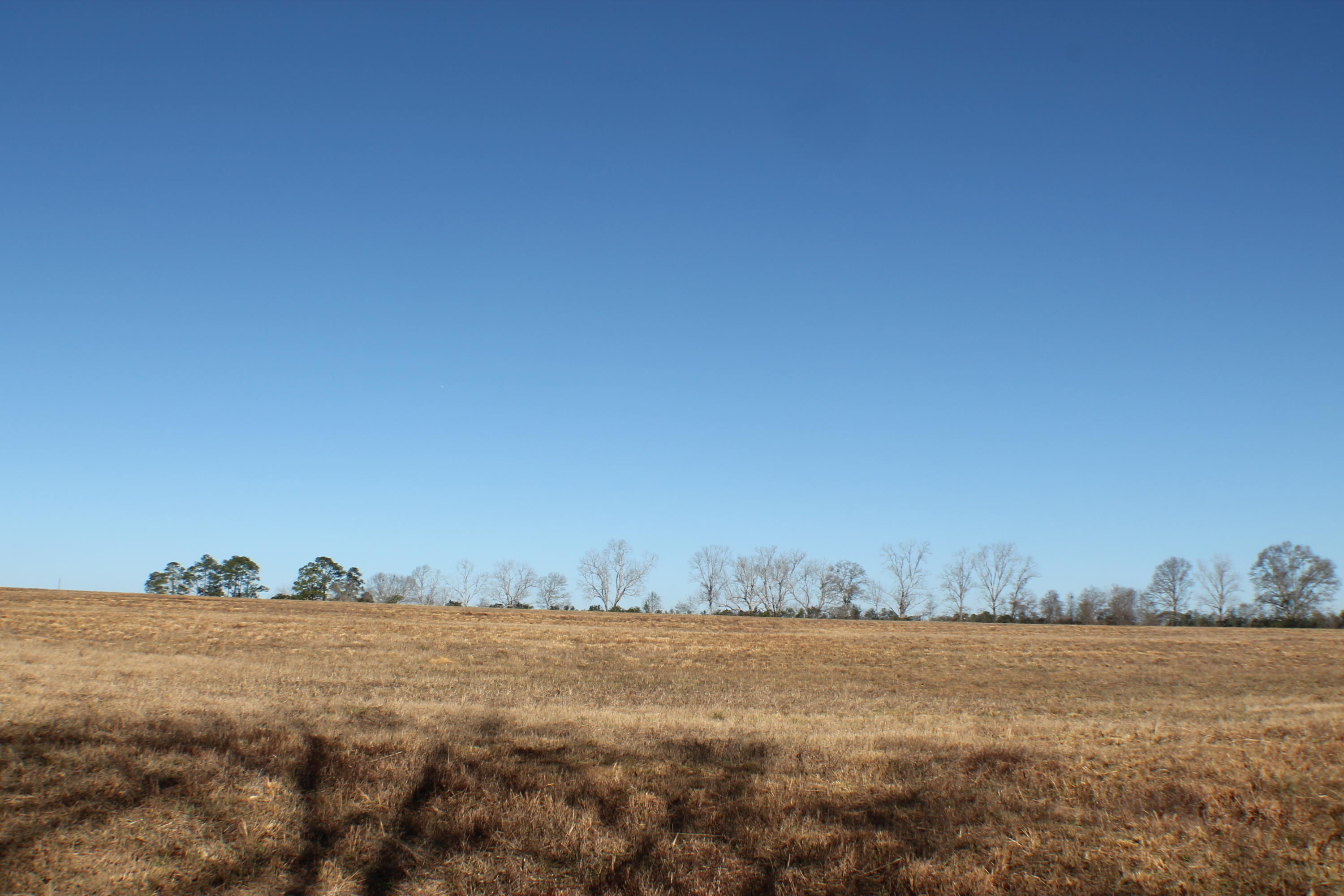 METES & BOUNDS - Farm