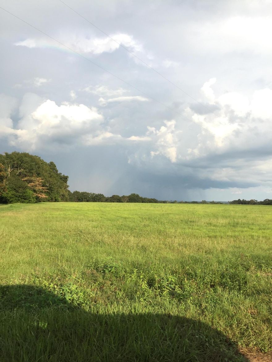 The most beautiful homesite in Baker! Location sunrise River Valley View! This homesite is high on a ridge overlooking the river valley on a paved road with power and water available. The area has large estate homes ,mini farms, huge farms all in a quick horseback ride to Blackwater forrest ! Sky Ranch air park is just up the road for and easy fly in or a short drive to Baker, Crestview and Destin Beaches! Come home to location dream site on Vinson Ray Road. Come out today and see what God has made relax and see the sunrise or the sunset, maybe eve a rainbow !