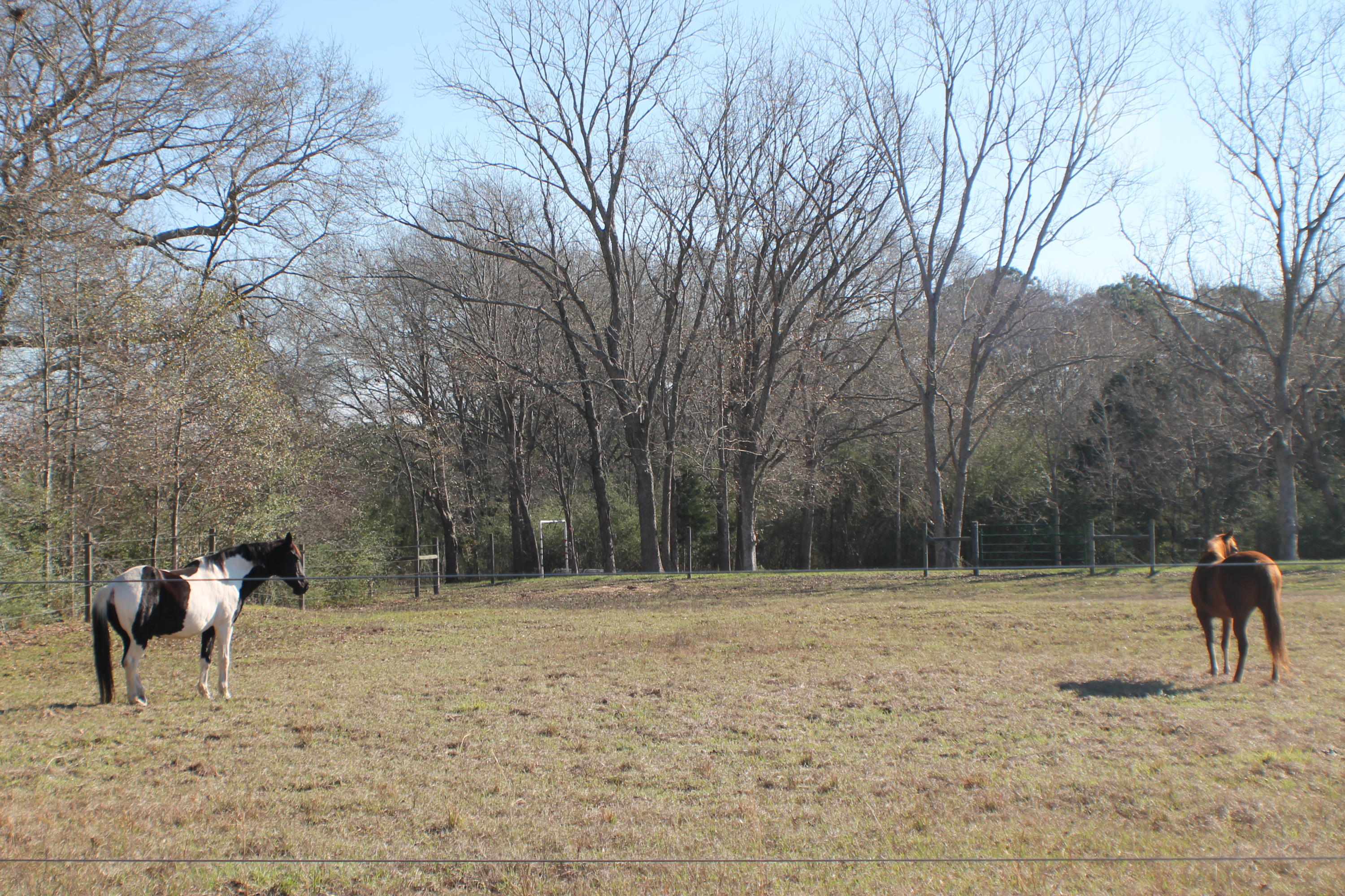 METES & BOUNDS - Farm