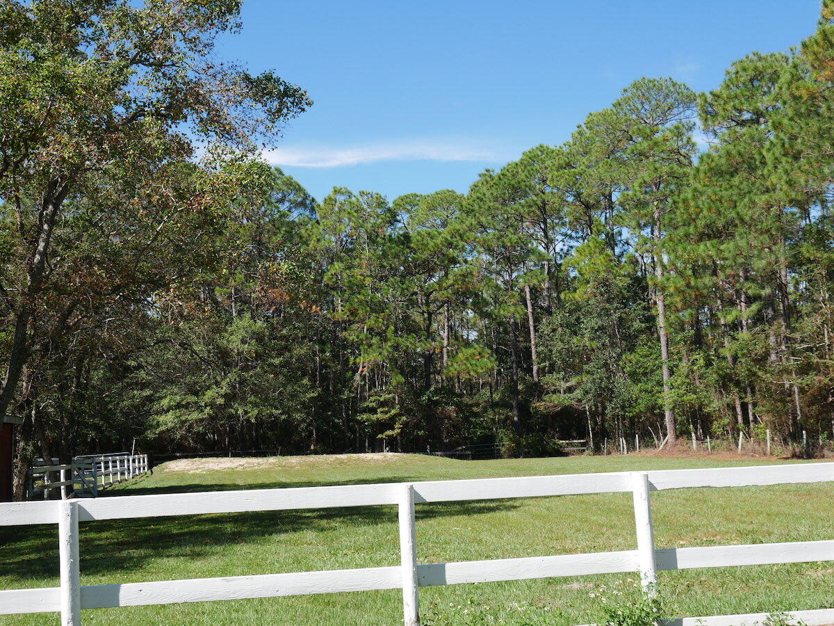 METES & BOUNDS - Land