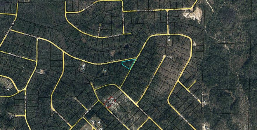 Large 1.256 acre lot in Compass Lake in the Hills. There is a voluntary HOA of $135 a year, but what a great price for all the amenities that are included such as: access to 2 lakes for fishing, tennis, horse stables / riding, rental cabins, RV spots, boat rentals, clubhouse, and a golf range. Being an all-sports lake, enjoy water skiing, tubing, jet skiing, boating, sailing, kayaking & swimming. No need to worry about lunch while out on the water when you have a boat accessible shoreline restaurant. This location is great for someone who enjoys nature and a short drive to the beach since it is located half way between Panama City And Dothan. The area is rich in historical significance, with many restored antebellum plantation homes open for tours or as bed-and-breakfast