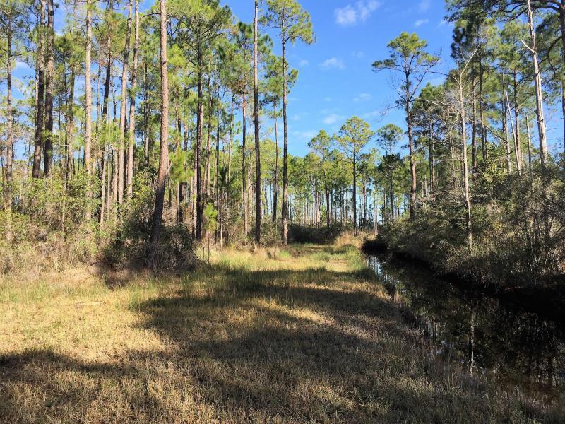 WHISPERING PINES - Land