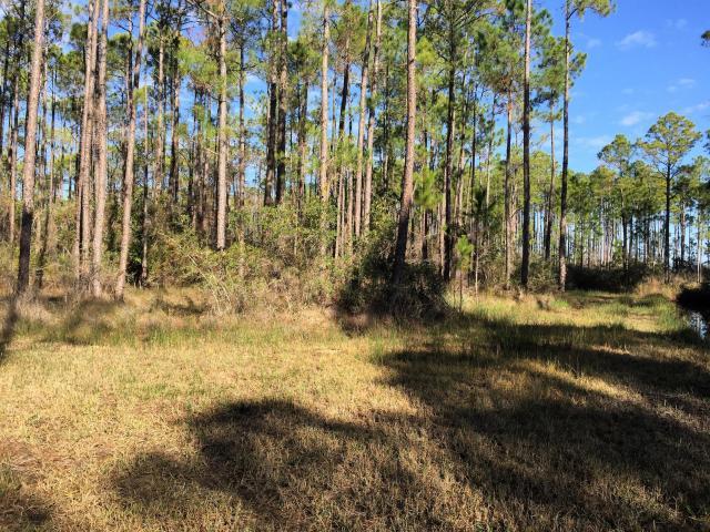 WHISPERING PINES - Land