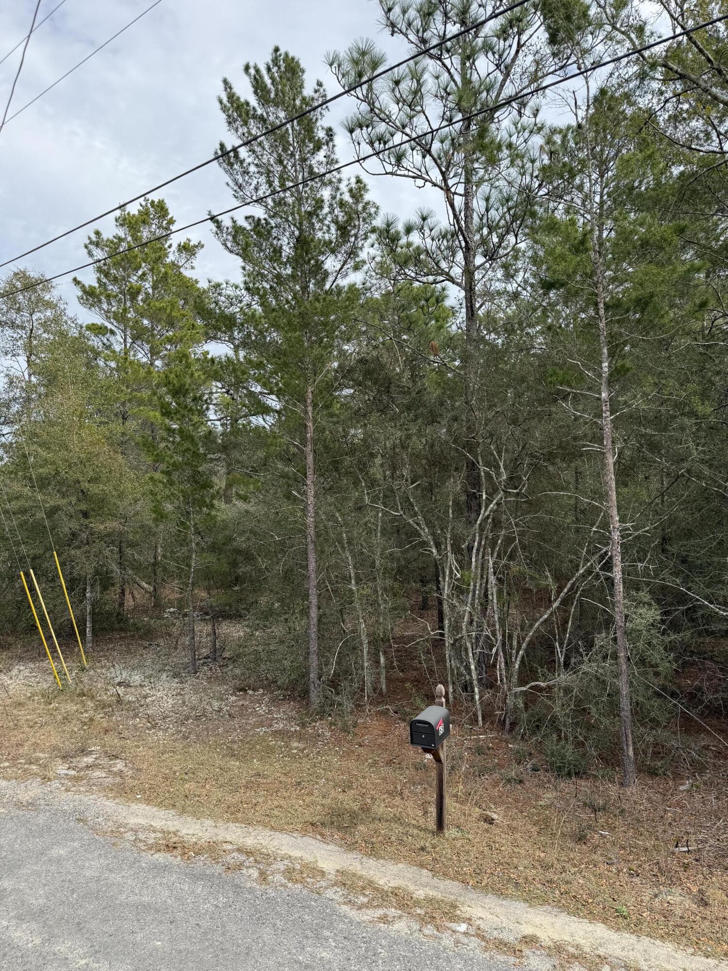 Located on the quiet and paved W Picasso Circle, this 0.39-acre lot in DeFuniak Springs is ready for your new home or mobile home. With electric and public water available, this high-and-dry parcel is primed for development. Nestled in a growing area with quick access to I-10, local parks, and historic downtown, this lot offers a great mix of privacy and convenience. The adjacent lot is also available-buy both for added space or investment potential. Don't wait-opportunities like this are rare!