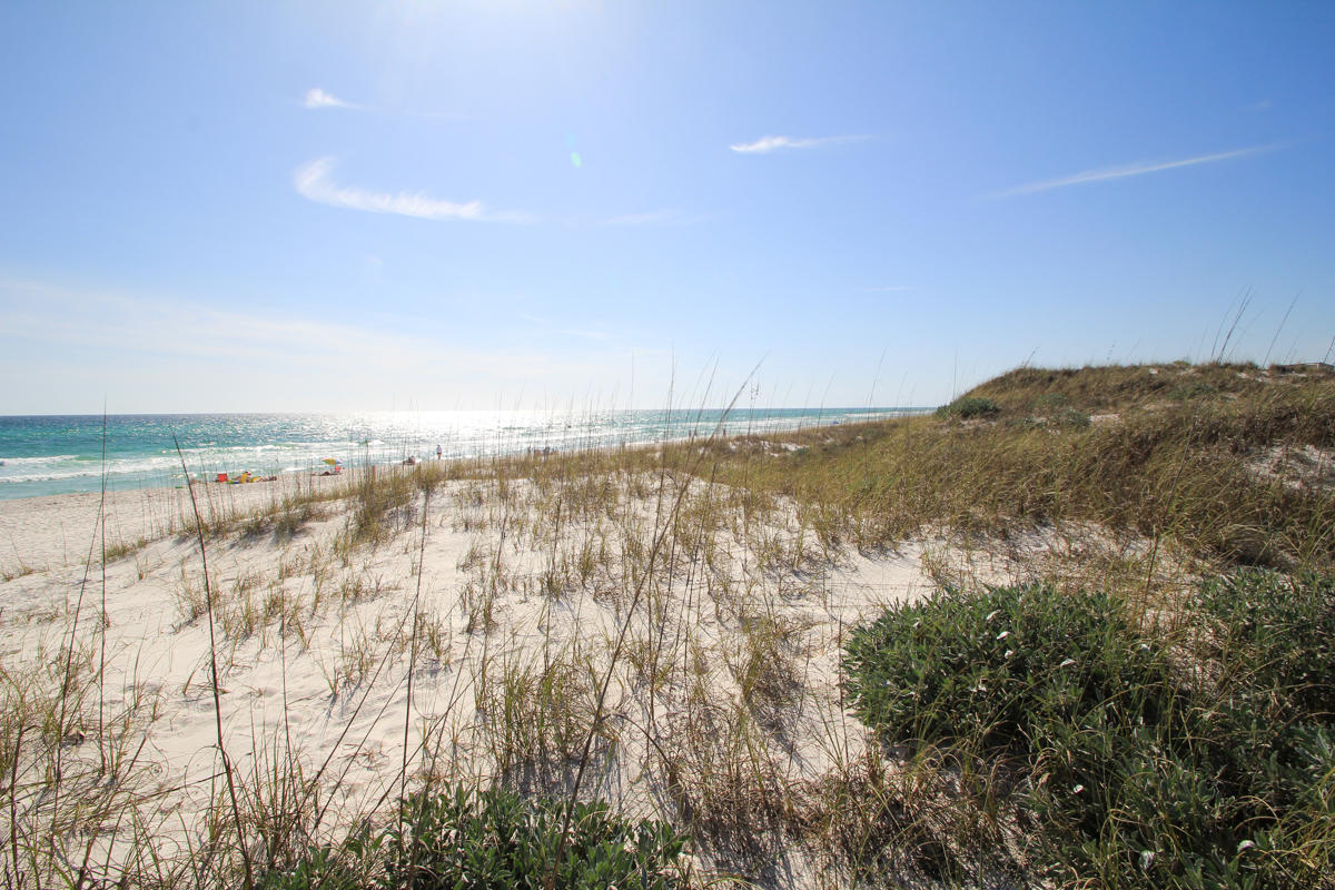 Inlet Beach, Metes and bounds - Land