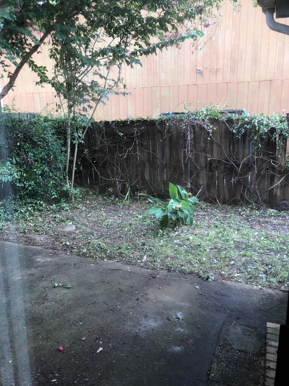 BRIGHTON WOODS - Residential