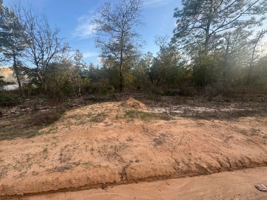 Build your dream home or invest in the growing community of DeFuniak Springs! This affordable vacant lot, offers a great opportunity for buyers looking for space, privacy, and future potential. Located in a quiet area with convenient access to local amenities, this property provides the perfect setting for a primary residence, second home, or investment build.Enjoy the charm of North Walton County with nearby lakes, parks, and historic downtown DeFuniak Springs just a short drive away. No HOA gives you added flexibility to design and build to your vision. Whether you're looking to build now or hold for future appreciation, this property is a smart buy.Buyer to verify all information deemed important including zoning, utilities, and building requirements.