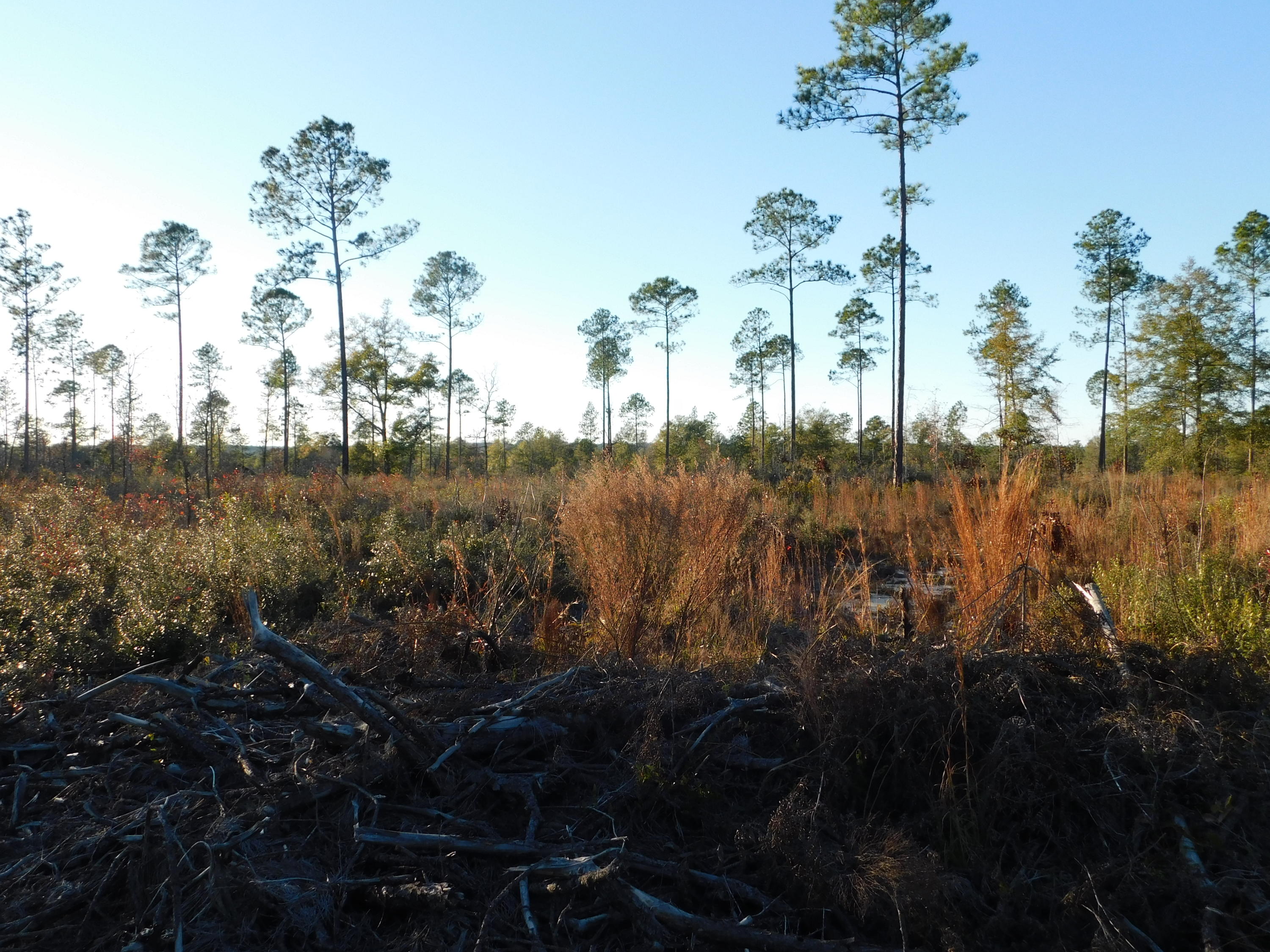 Metes and Bounds - Farm