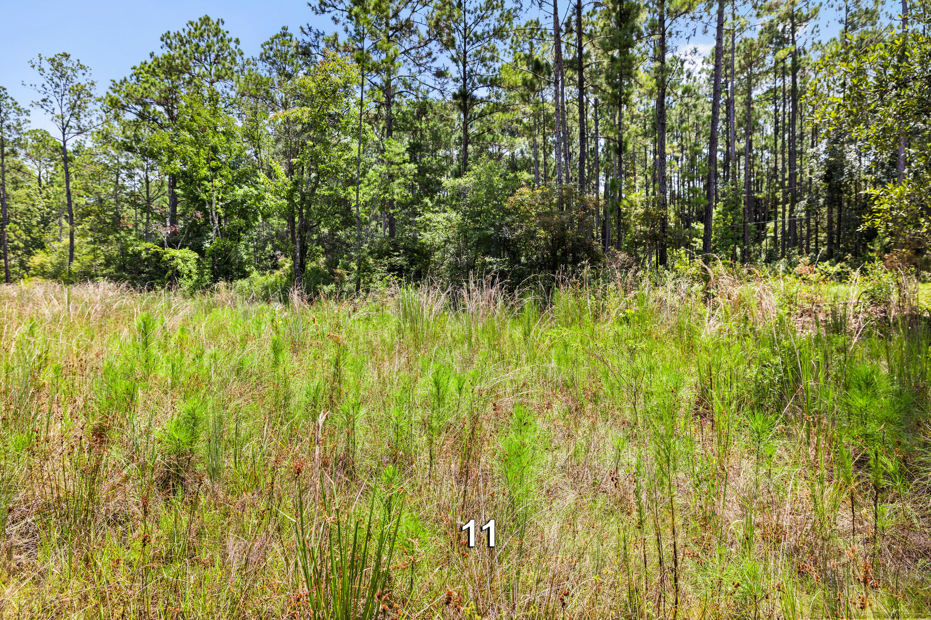 MALLET PINES UNREC - Land