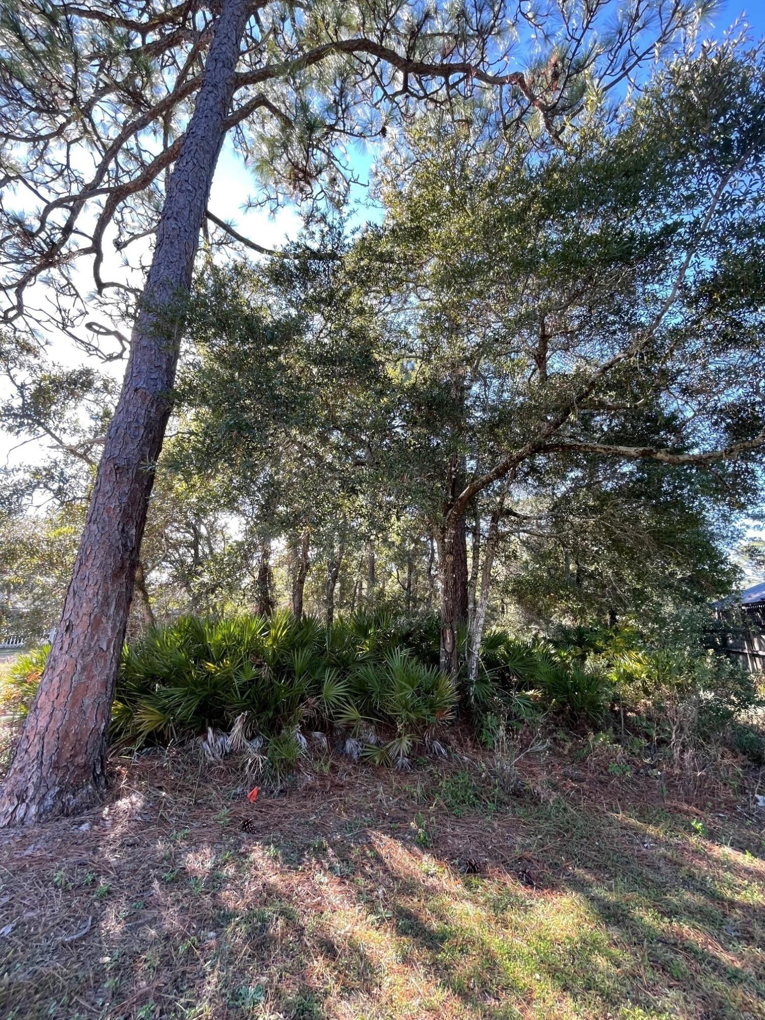 BAYOU PINES UNREC - Land