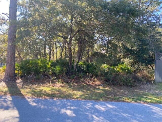 BAYOU PINES UNREC - Land