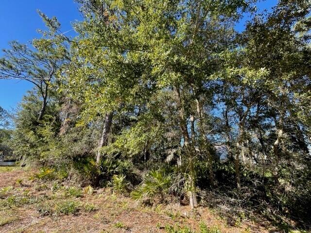 BAYOU PINES UNREC - Land