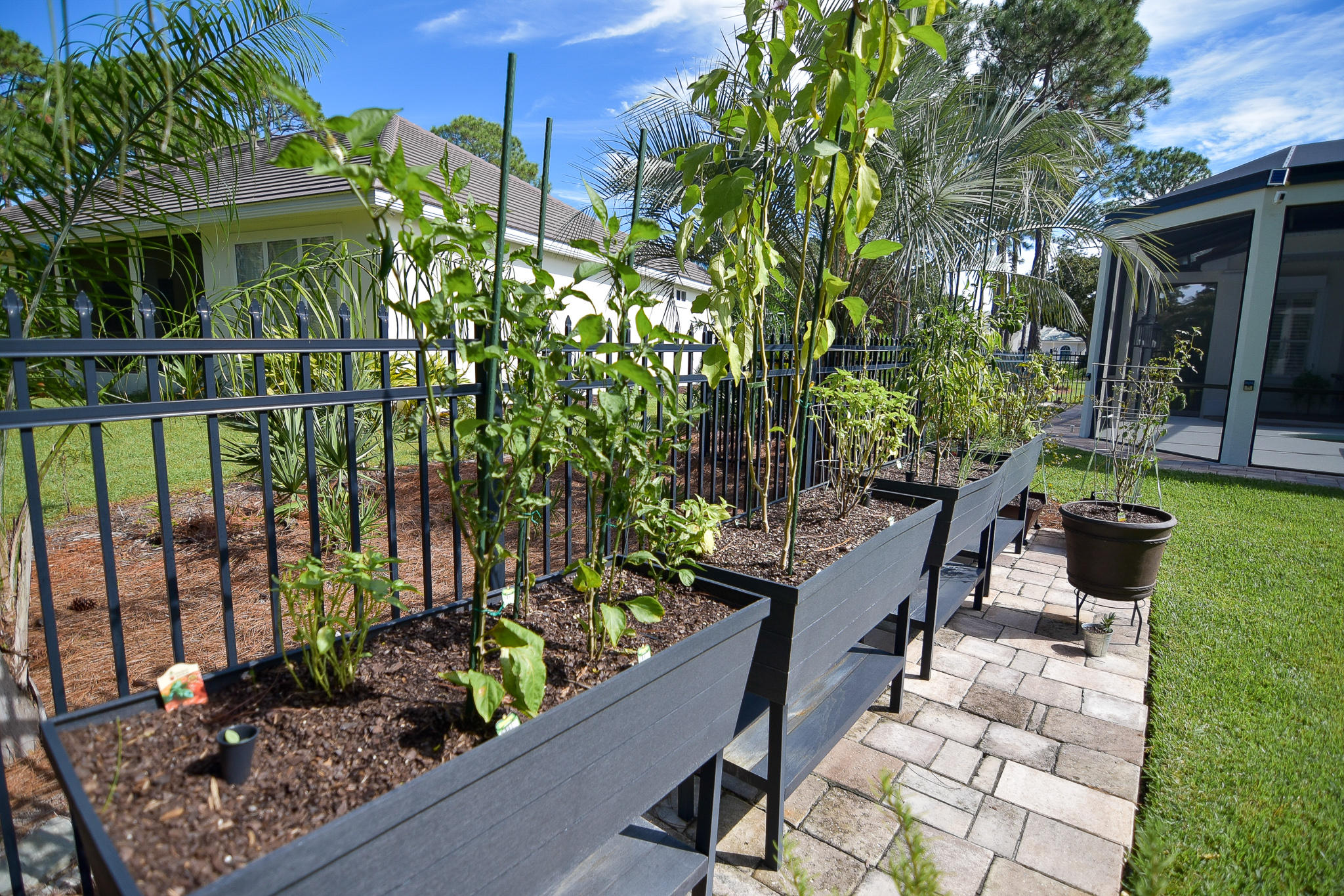 REGATTA BAY PH 3 - Residential