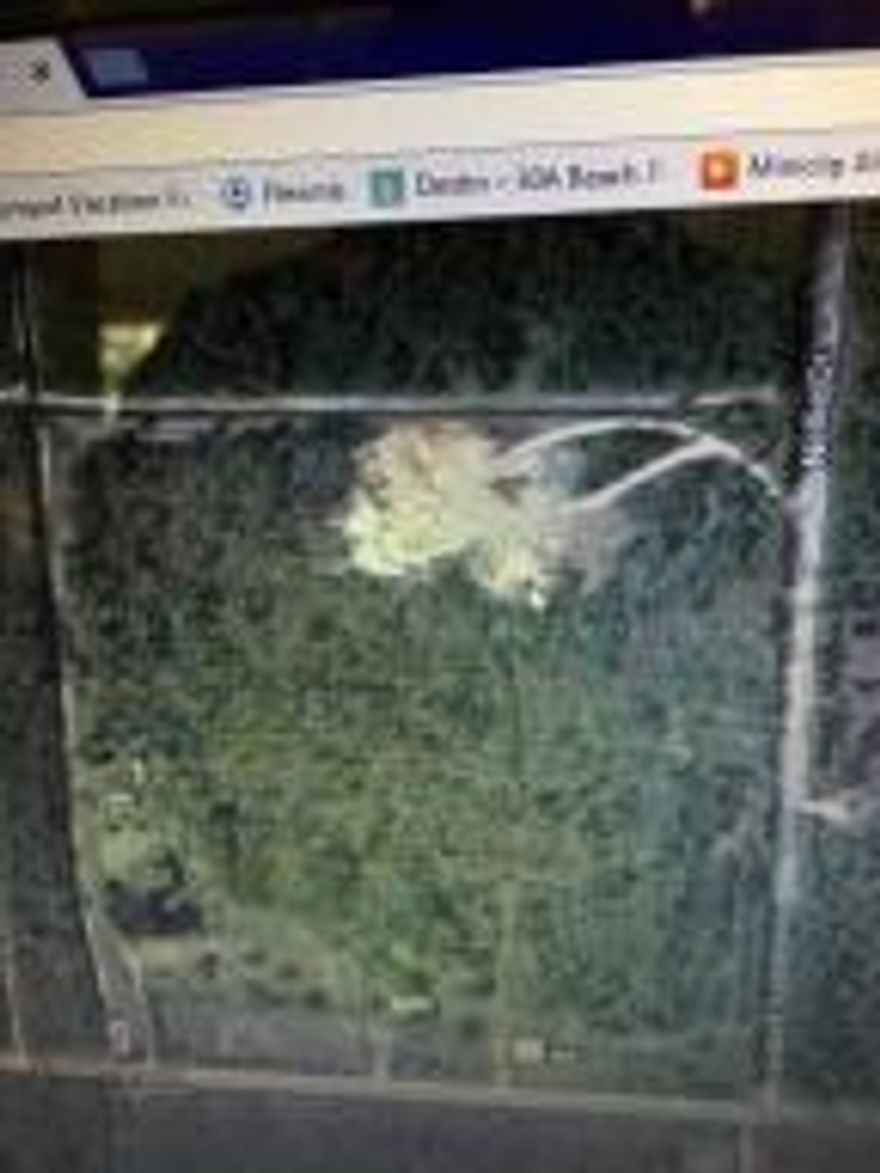 This large parcel is a great opportunity for someone looking for a place to put horses and or to develop and build homes.
