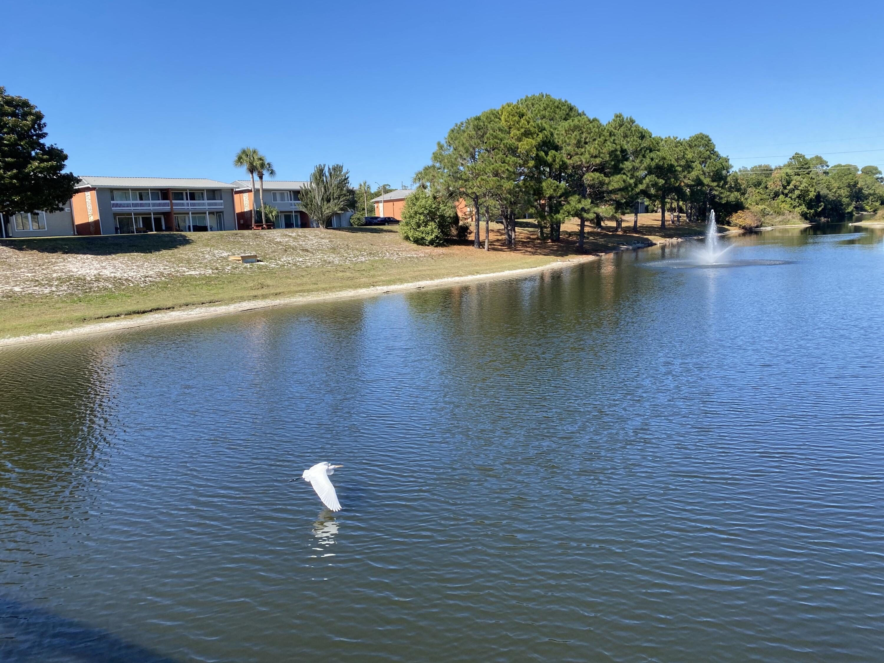 GULF TERRACE CONDO - Residential