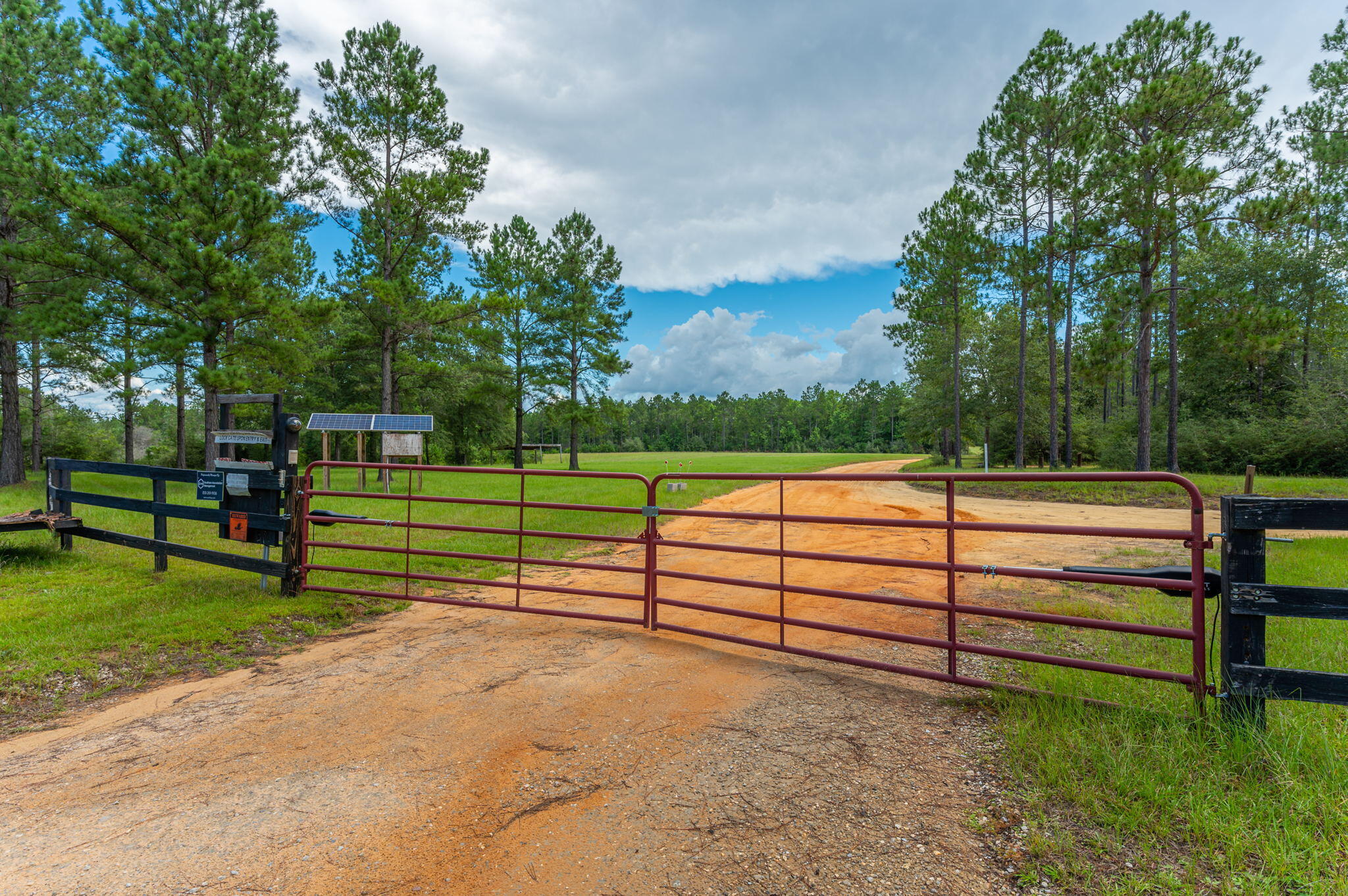 WALTON PLANTATION - Land