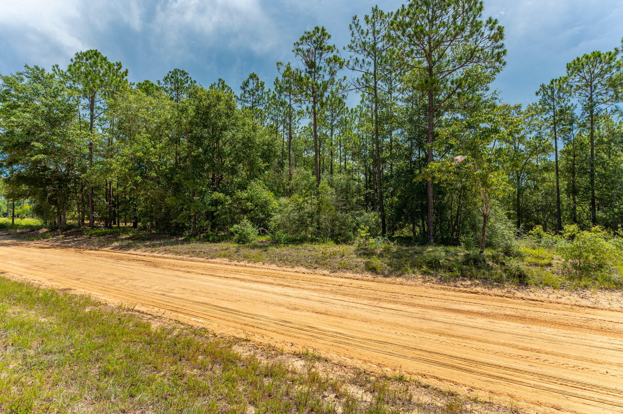 WALTON PLANTATION - Land
