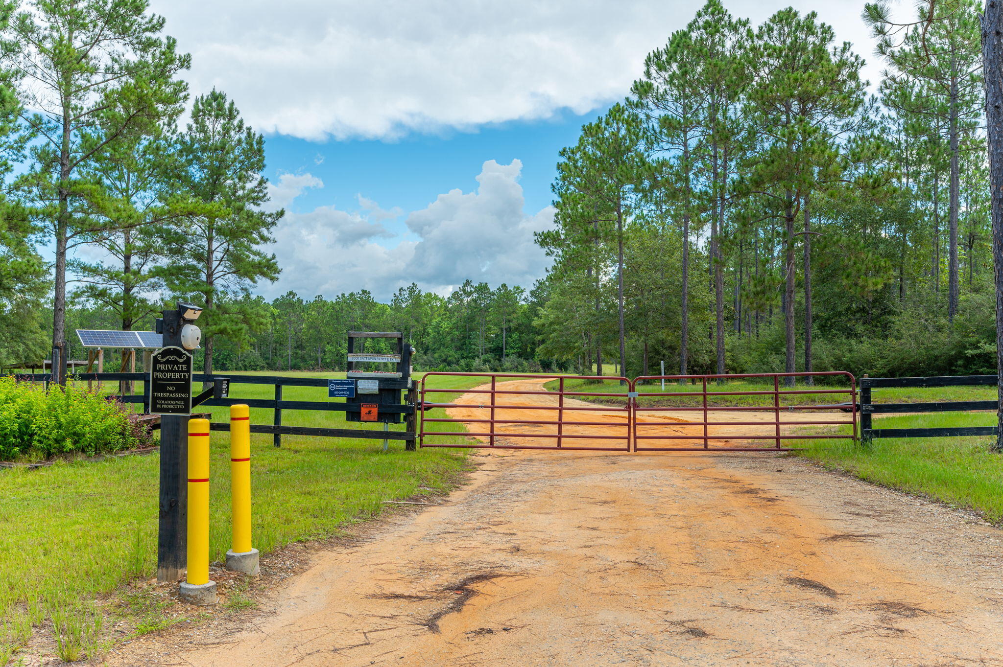 WALTON PLANTATION - Land