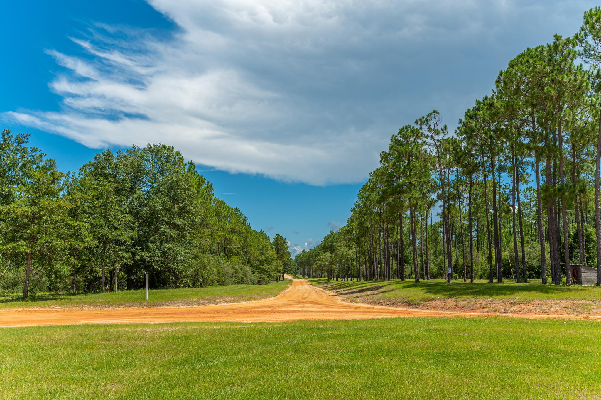 WALTON PLANTATION - Land