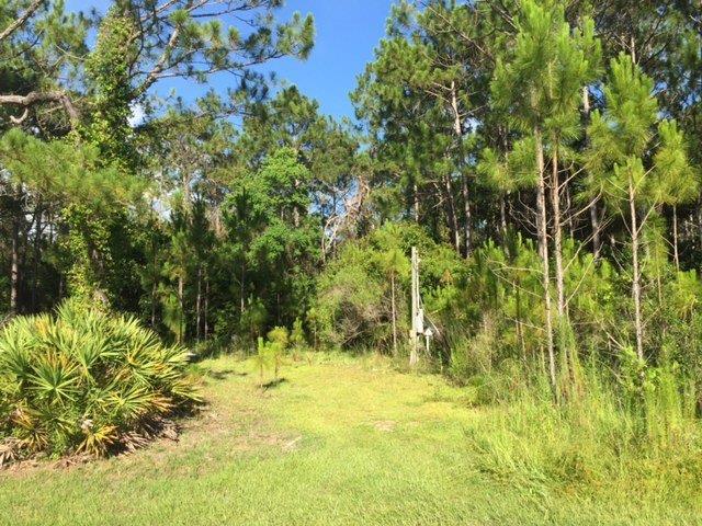 REO ~ Double lot less than 1 mile from Seaside... Plenty of beach accesses near by! The online auction begins August 20, 2016 & ends on August 24, 2016. The buyer and agent must register and submit offers at https://www.auction.com/. (Register at http://www.auction.com/broker-registration/residential.php). Current list price is $214,900. Bank of America employees, household members or business partners prohibited from purchasing.