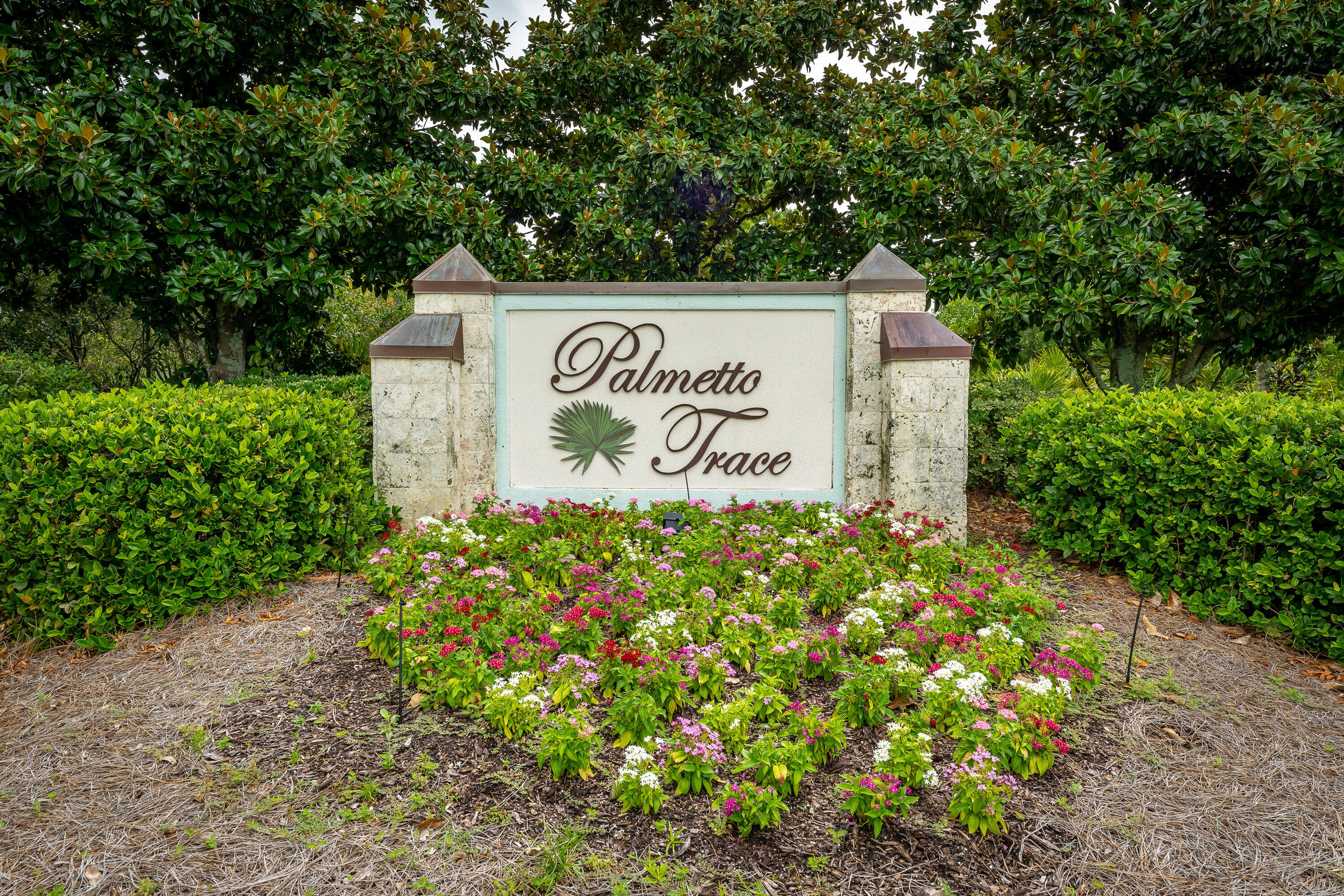 Palmetto Trace 1 - Residential