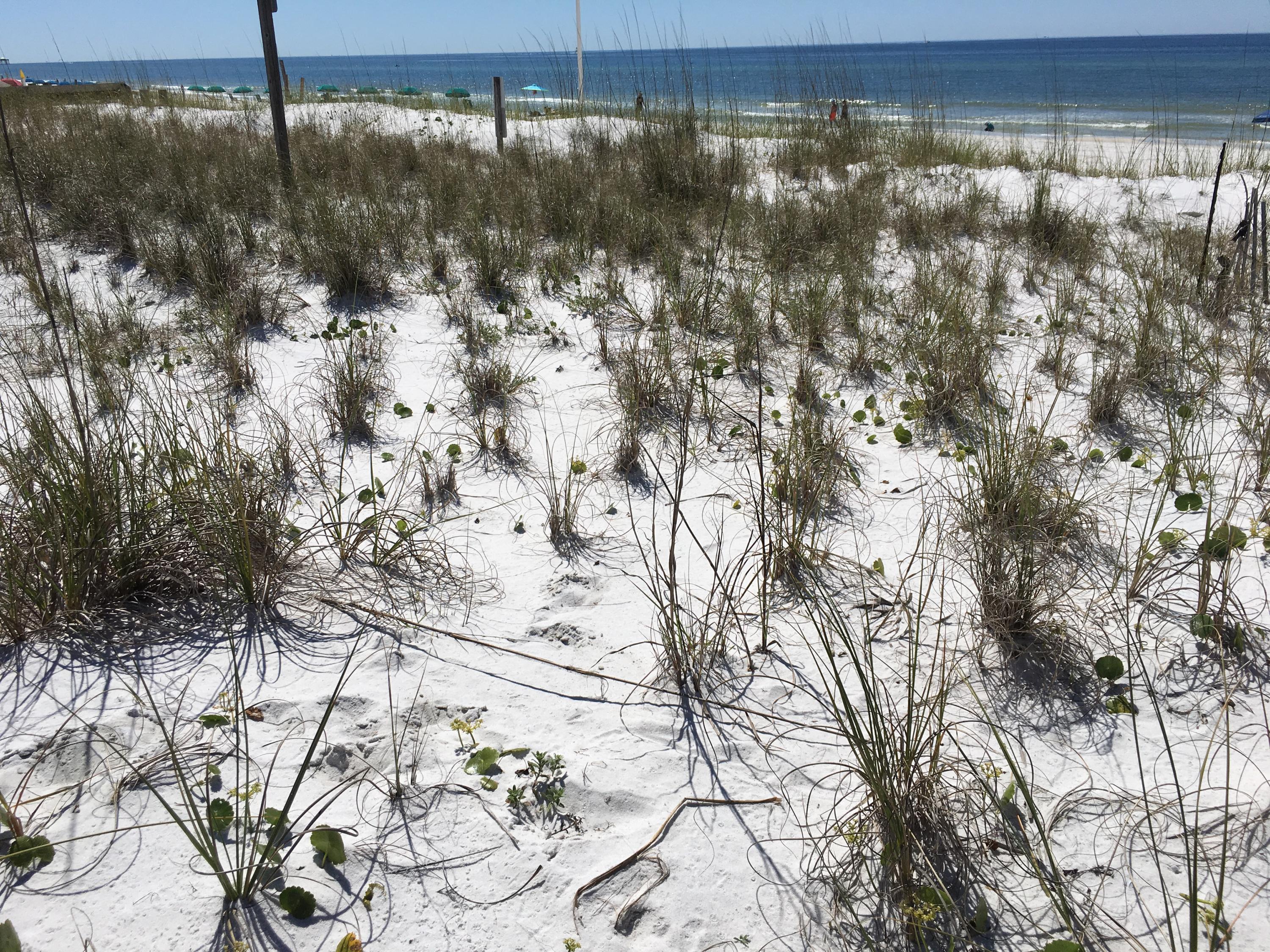 EMERALD ISLE - Residential