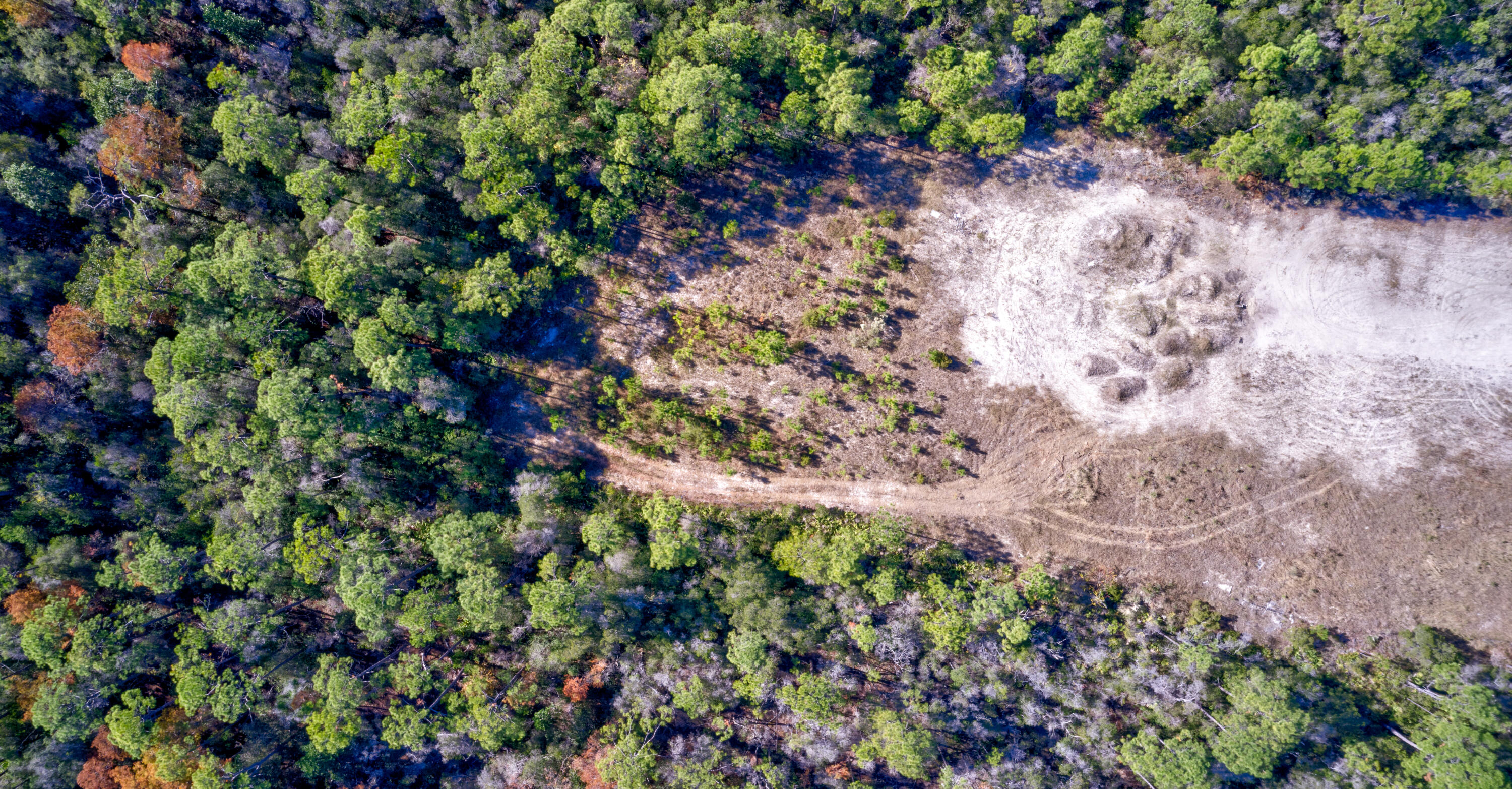 NATUREWALK AT SEAGROVE - Land