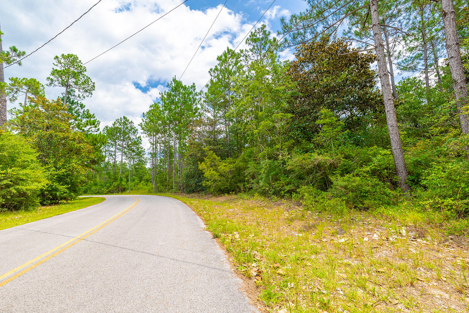 LAKE ROSEMARY SOUTH S/D - Land