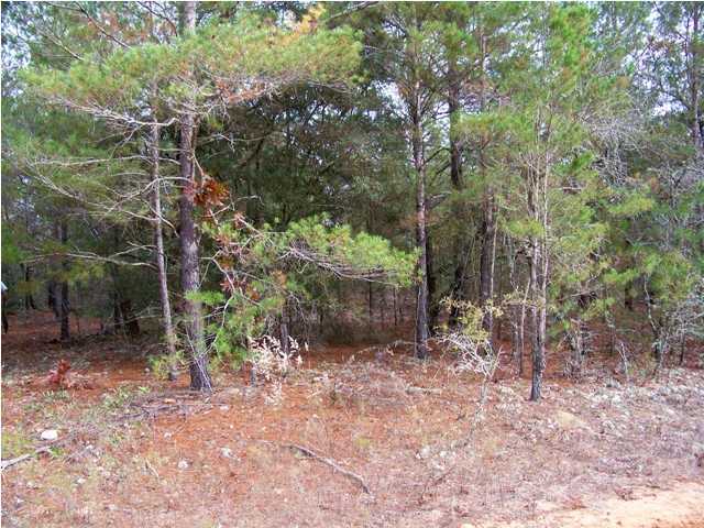 EXCELLENT PRICE FOR A FULL ACRE LOT! Nice building lot on a graded road. Several new homes in the area. Take a look and make us an offer.