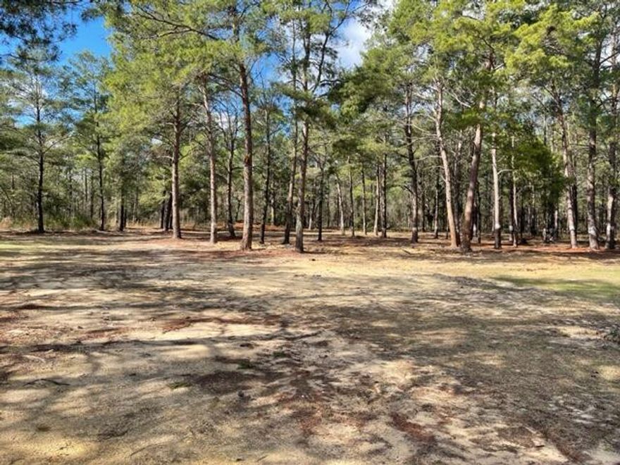 Great looking beautiful 3.4 acre wooded but mostly cleared track of land just east of Crestview located in the Mossy Head area. The track of land is level, wooded and dry. A detached carport and a shed/out building is located on the land. The mobile home needs a total renovation. The mobile home will be removed at seller expense if buyer elects to do so or use as a trade in. Great spot for a few RV's. Concrete Driveway with asphalt carport surface and tool shed with power. Property has City water, septic tank and a well. 30 minute drive to Destin. Fl. 15 minutes to the Alabama State line.