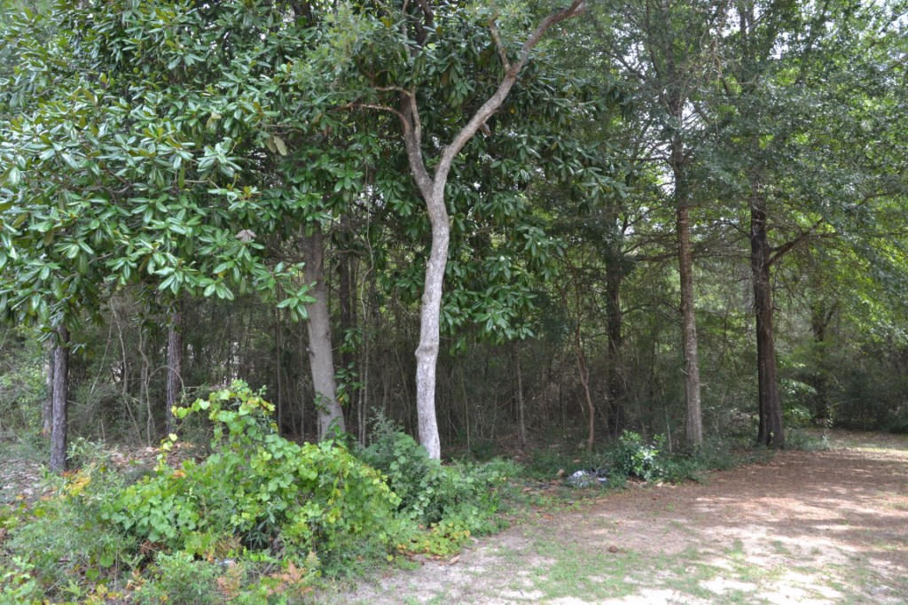 HILLTOP ACRES - Residential