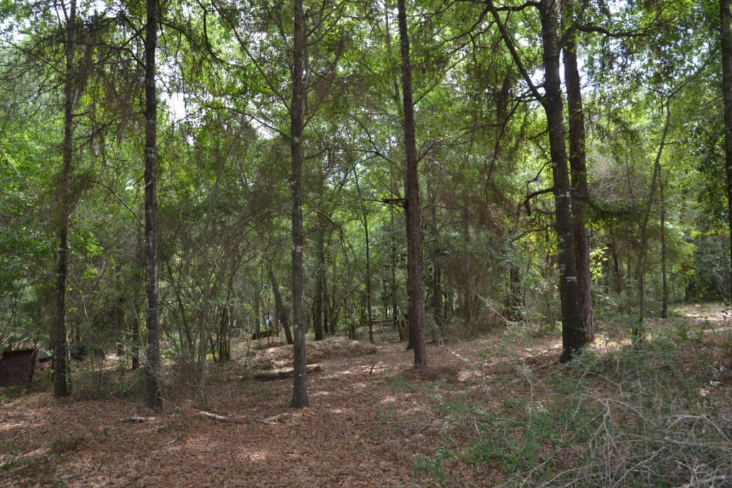 HILLTOP ACRES - Residential