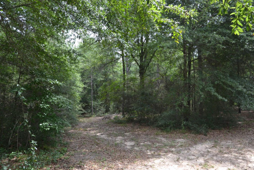 HILLTOP ACRES - Residential